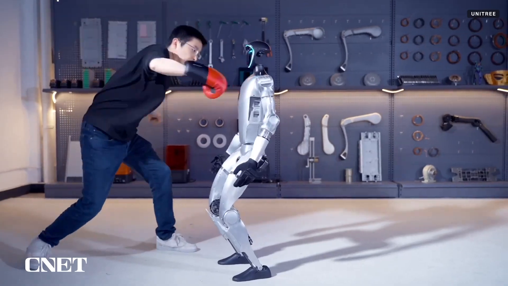 Introduction to Humanoid Robots