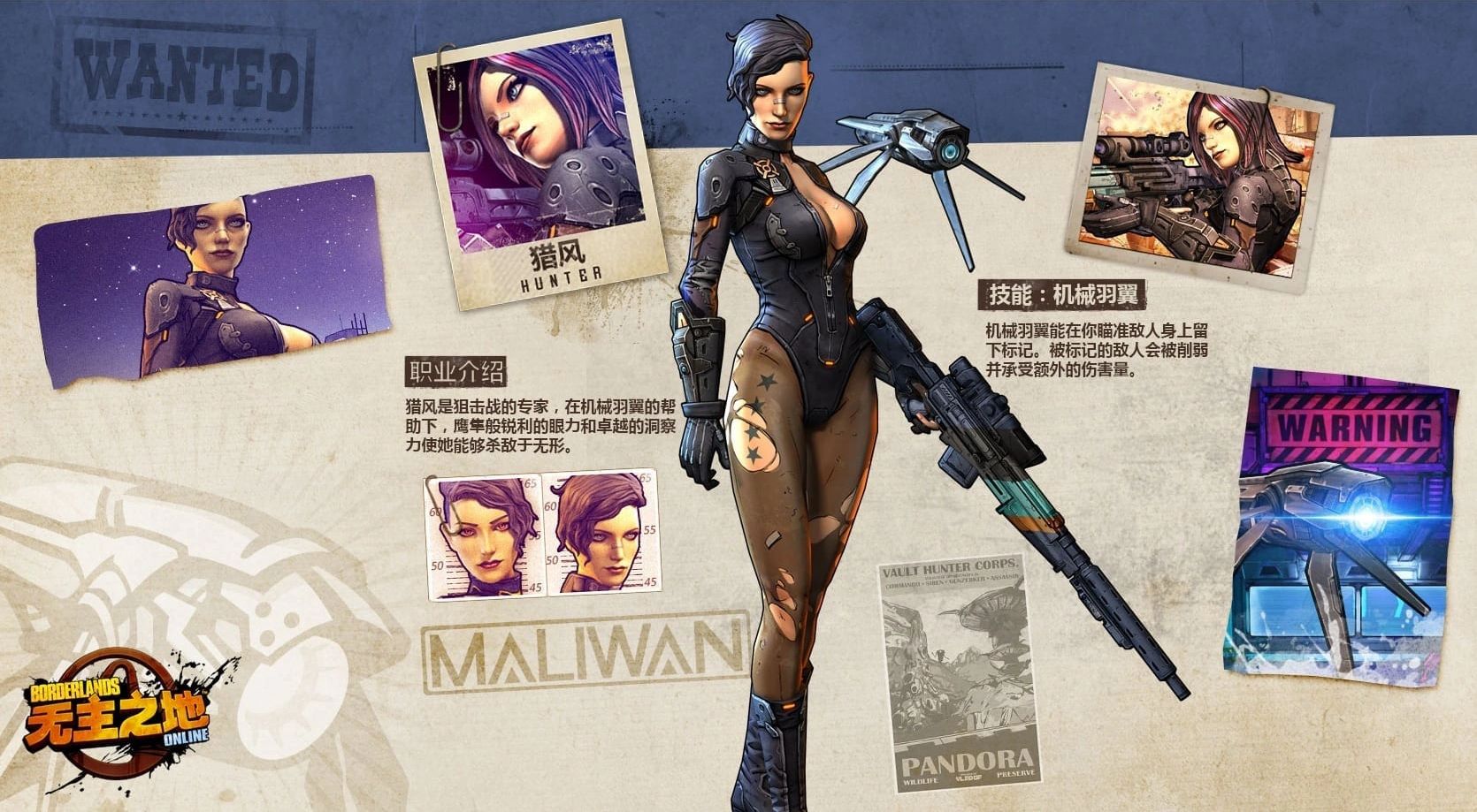 Lost Borderlands MMO Resurfaces: A Nostalgic Peek