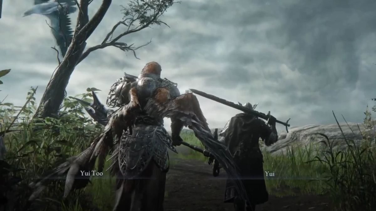 Elden Ring Mod Lets Friends Team Up at Last!