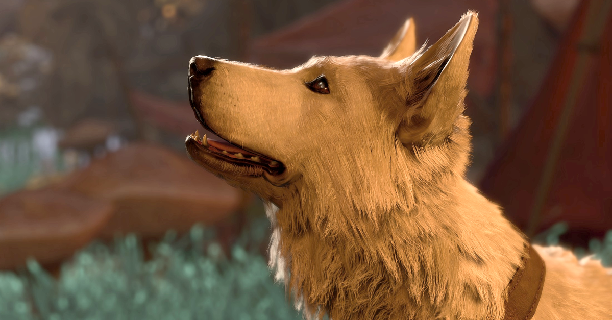 Dog Games Are Barking for Attention!