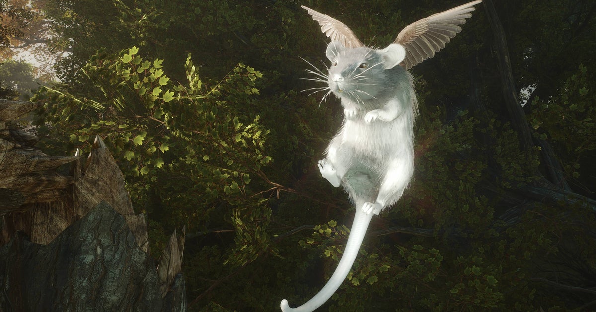 Soulframe: A Careful Craft in Gaming's Chaos