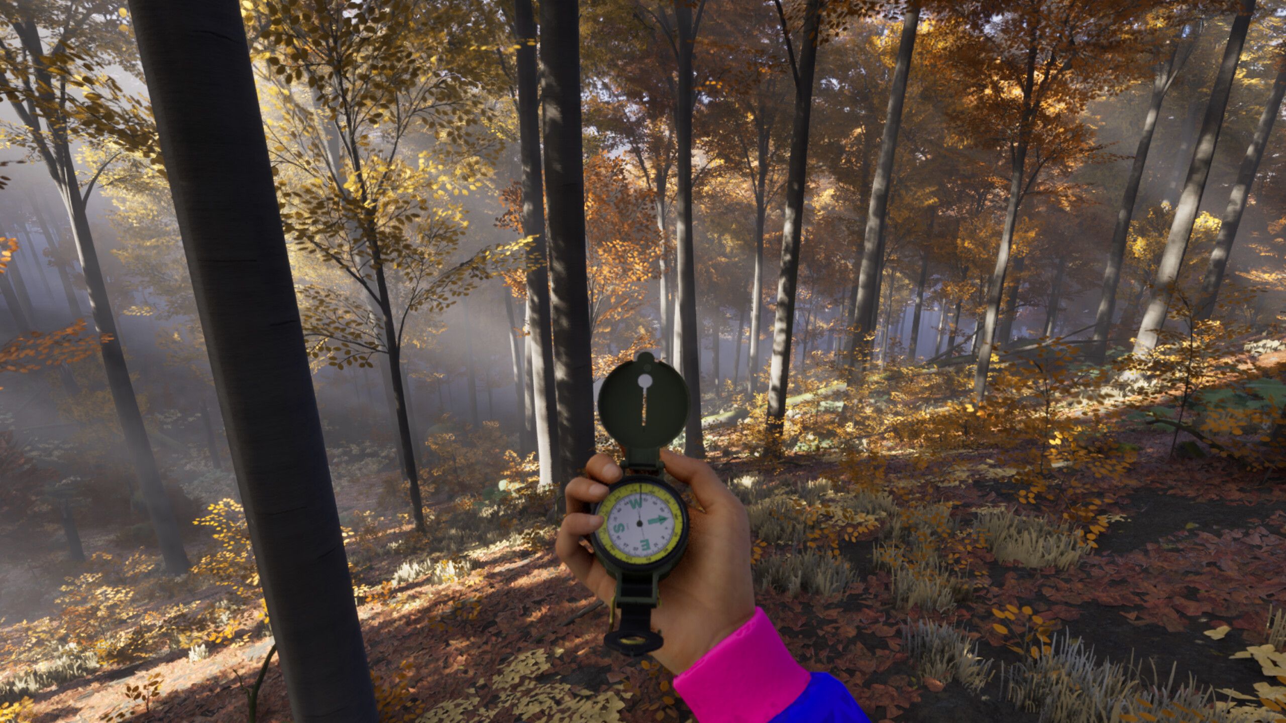Hike or Die: Prologue Hits Early Access Nov 20