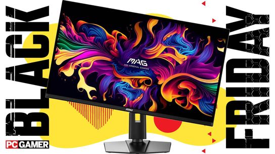 Budget Monitors Shine This Black Friday