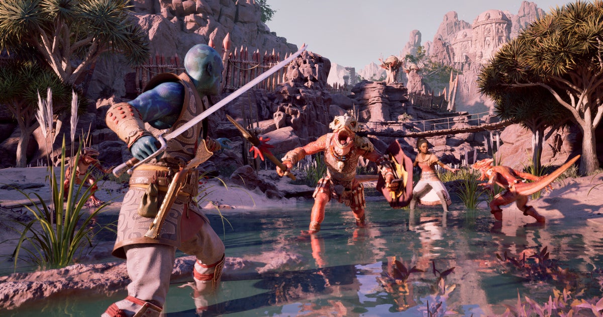 Avowed Update Delayed to Anniversary in February