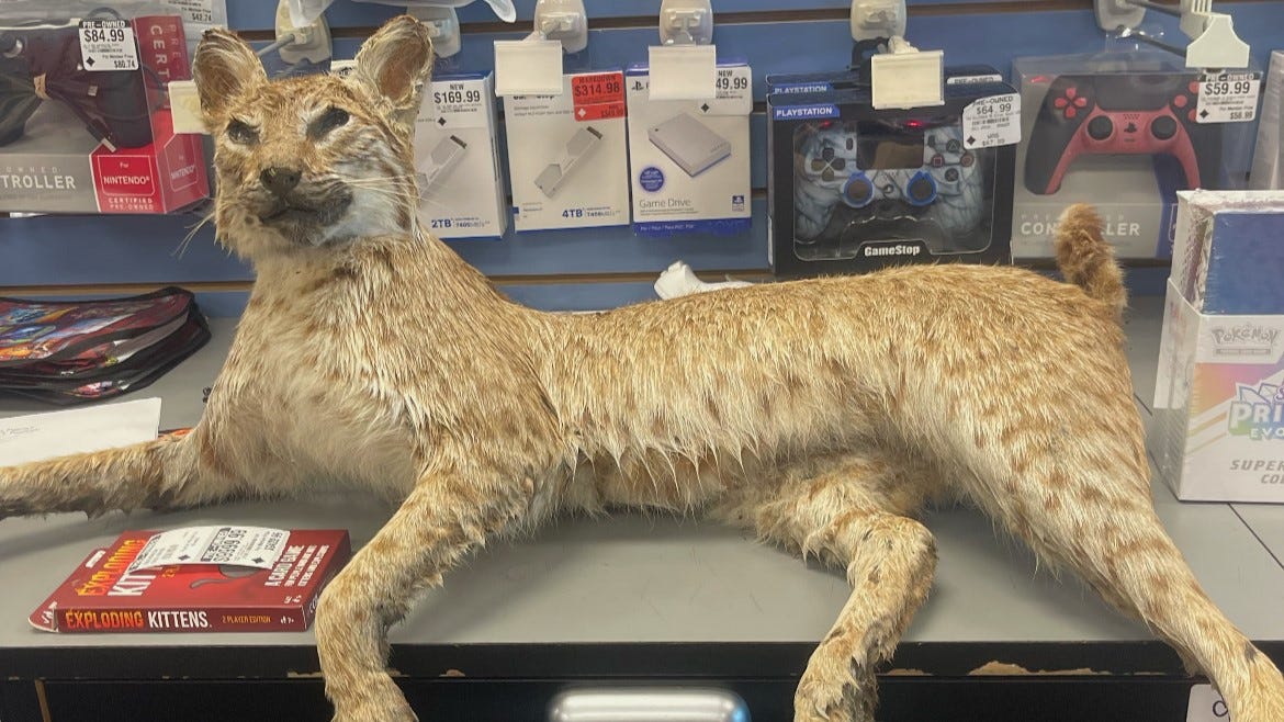 GameStop's Quirky 'Trade Anything Day' Recap
