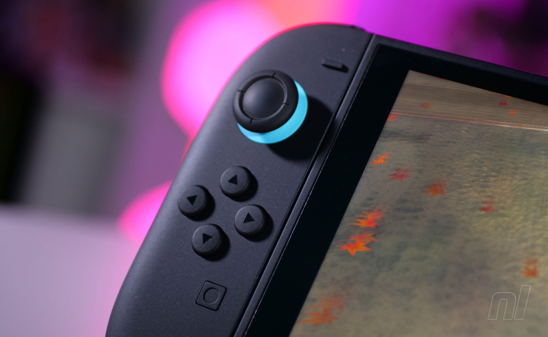 Kamiya Pushes for D-Pad Joy-Con on Switch 2
