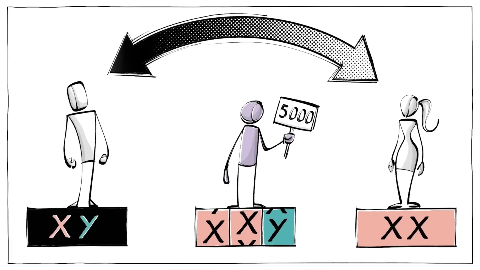 Chromosomal differences determining gender