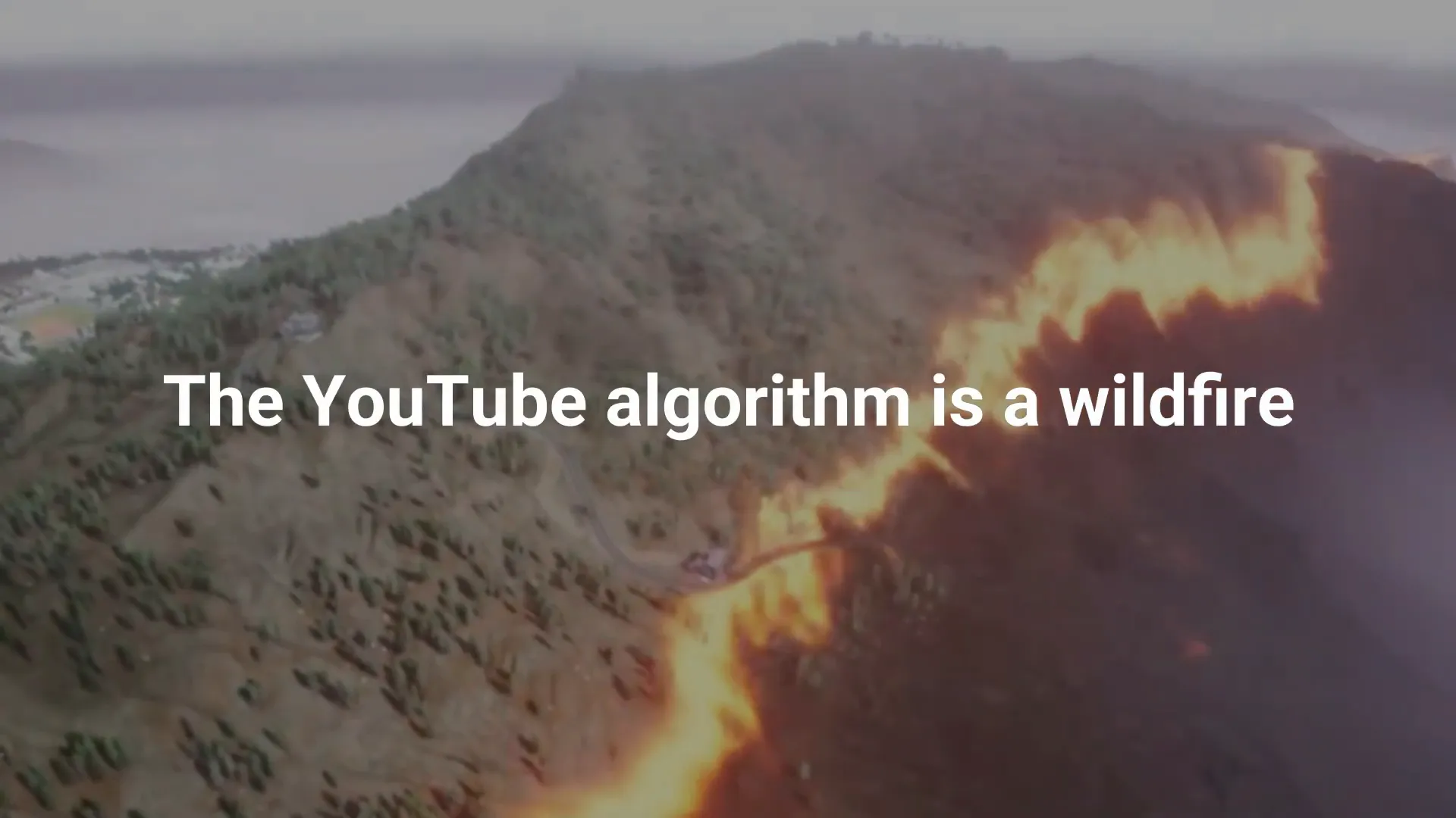 YouTube algorithm is not human, it's based on engagement
