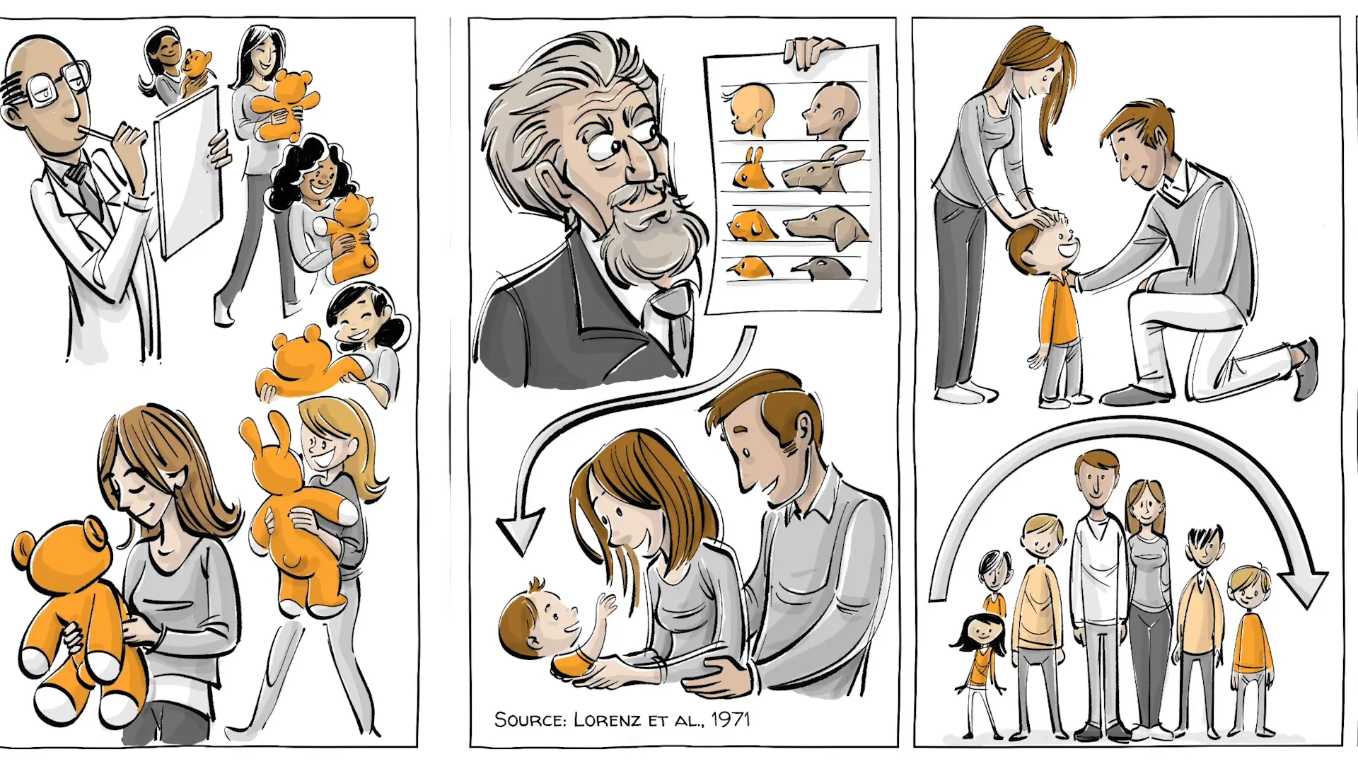 Konrad Lorenz and baby schema