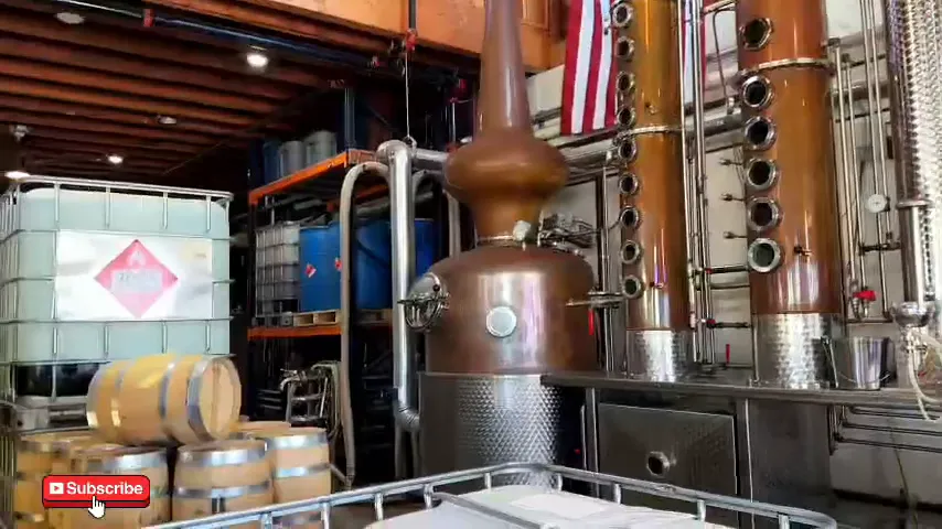 Yeast used in fermentation process