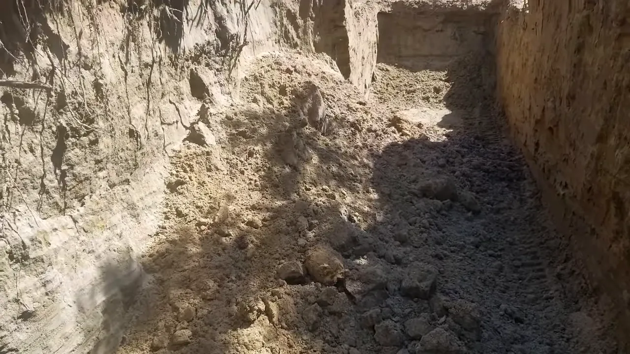 Off grid life - high sandy excavation wall with exposed roots and steep vertical face