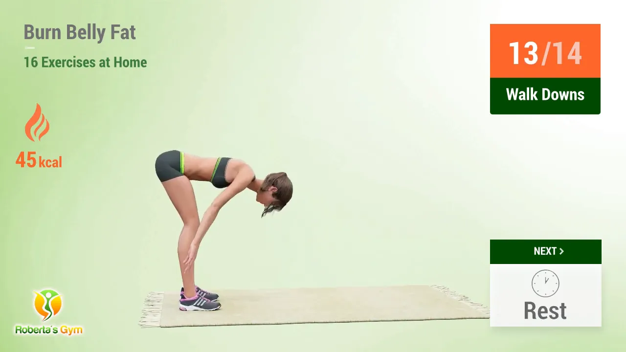 Burn Belly Fat Exercises: Your Ultimate Guide to Home Workouts 10 Walk downs demonstration