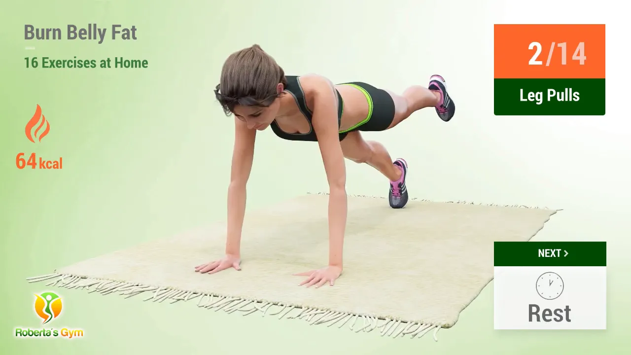 Burn Belly Fat Exercises: Your Ultimate Guide to Home Workouts 14 Leg pulls demonstration