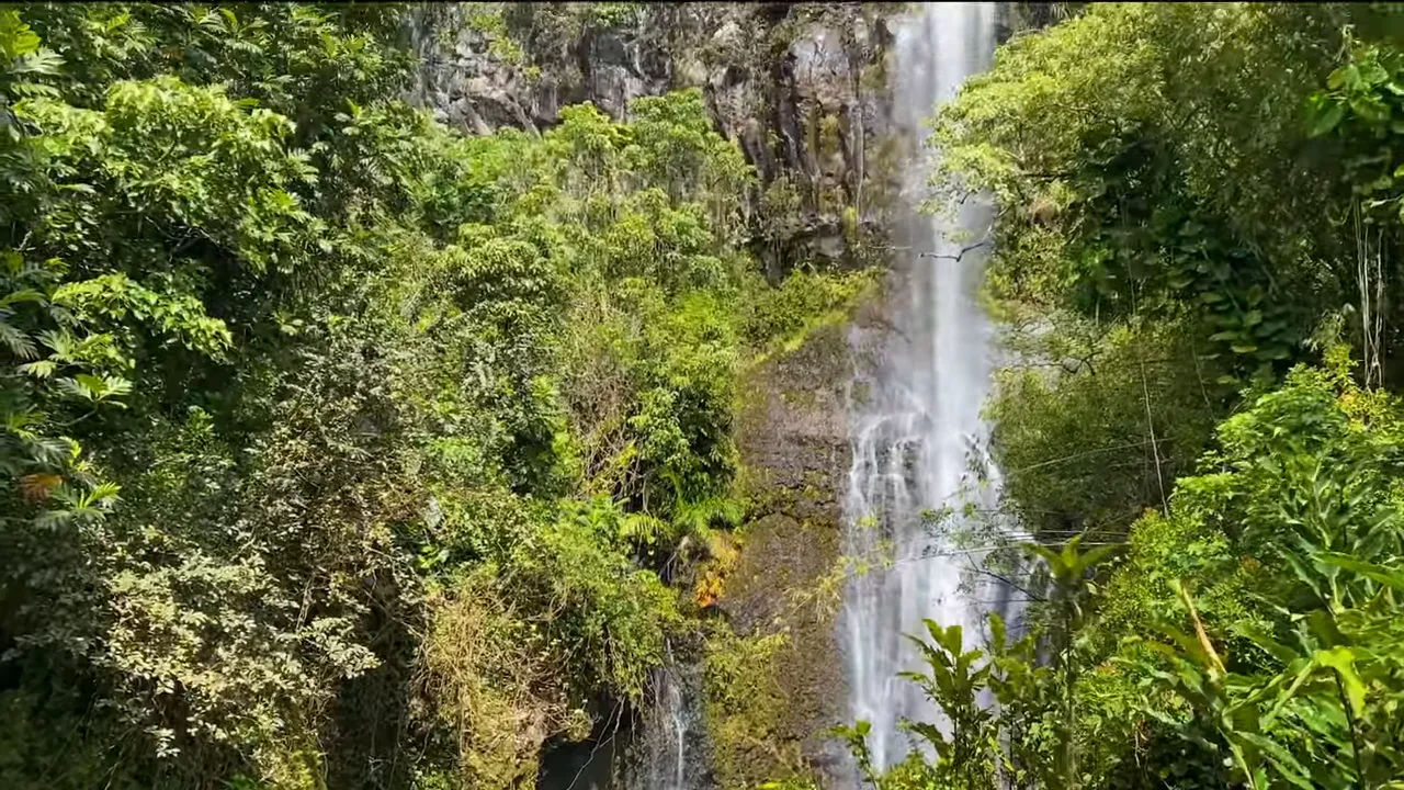 tall waterfall plunging down a rocky cliff face framed by green trees