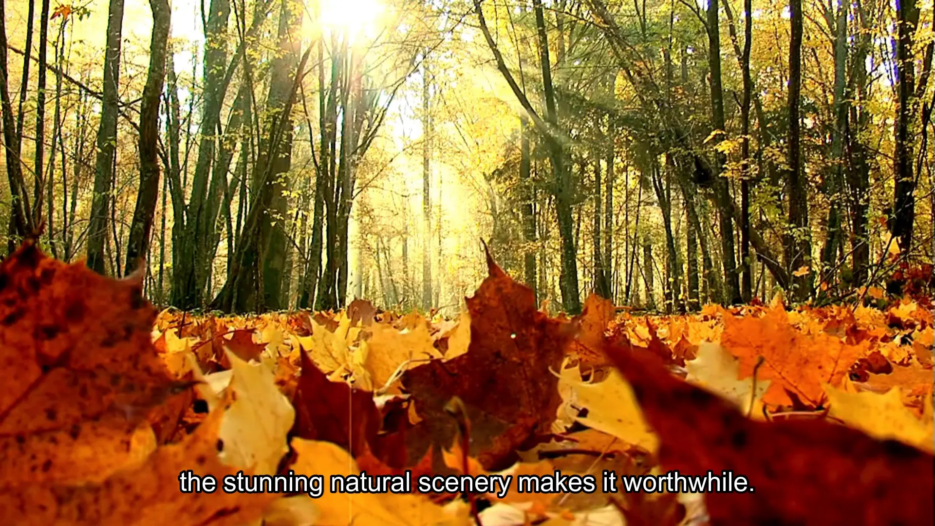 Beautiful autumn landscape in Japan