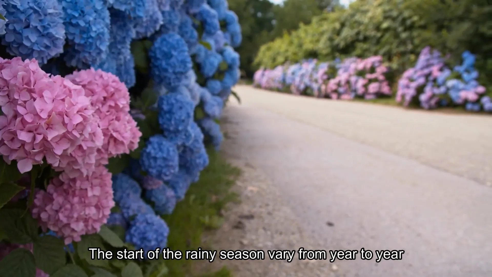 Rainy season in Japan