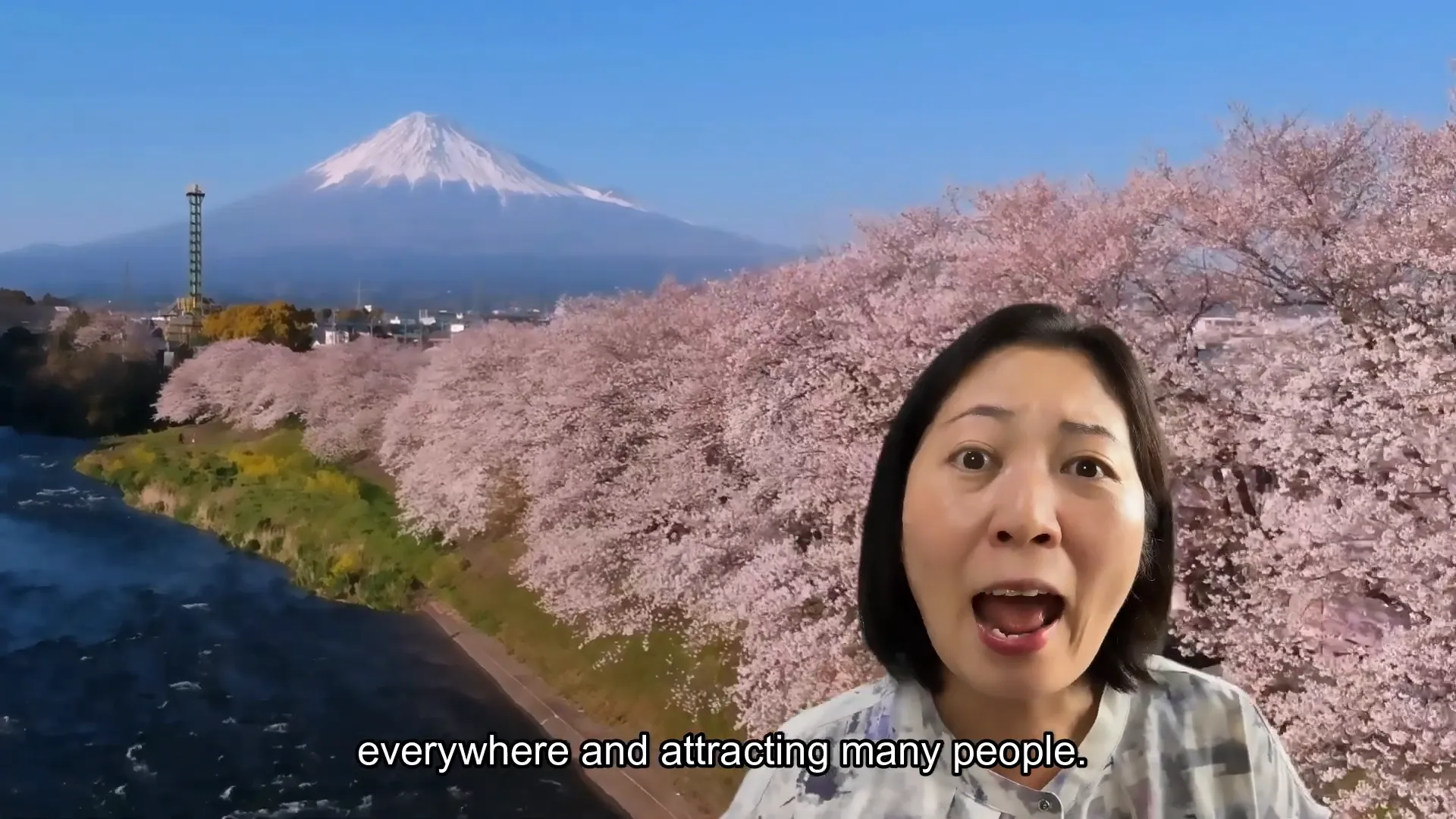 don't ruin your Japan trip: Best and Worst Times Explained