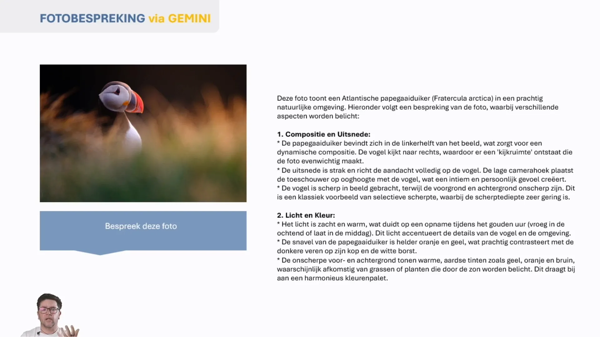 Screenshot van Gemini fotobespreking met foto van een Atlantische papegaai’duiker en analyse van compositie en uitsnede