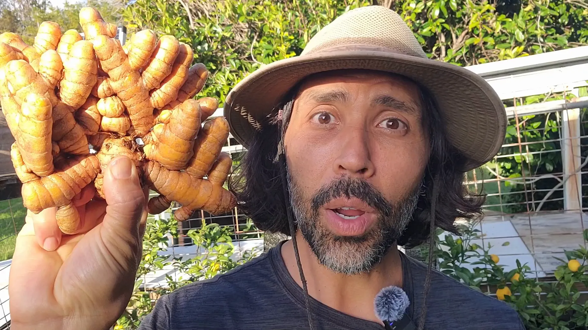 Featured image for the blog, "Ultimate Guide to a Successful Turmeric Harvest: How Two Magic Ingredients Transformed My Crop"