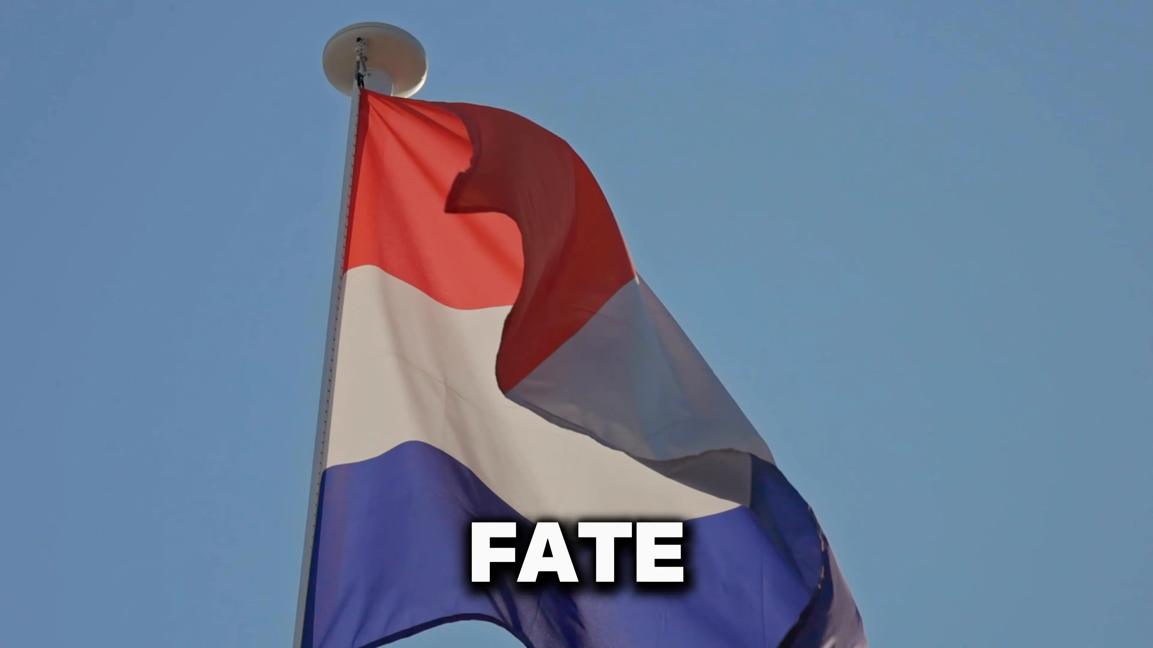 Protesters waving flags during a demonstration in Rotterdam