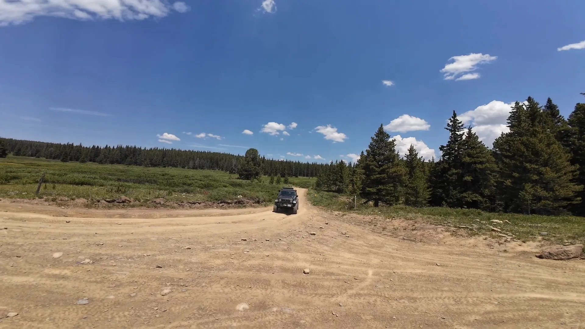Campsite area with cut trees and open views