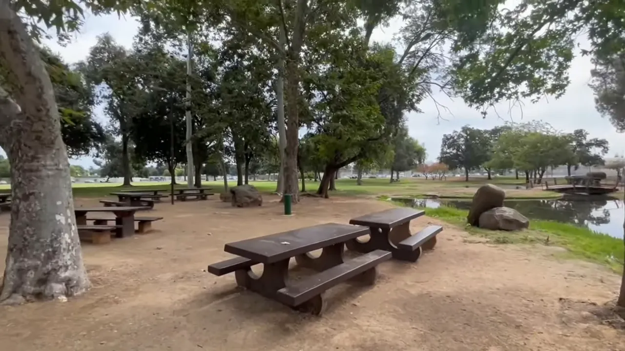 Picnic tables and small fishing lagoon at Hagen Park in Rancho Cordova, with trees and open lawn.