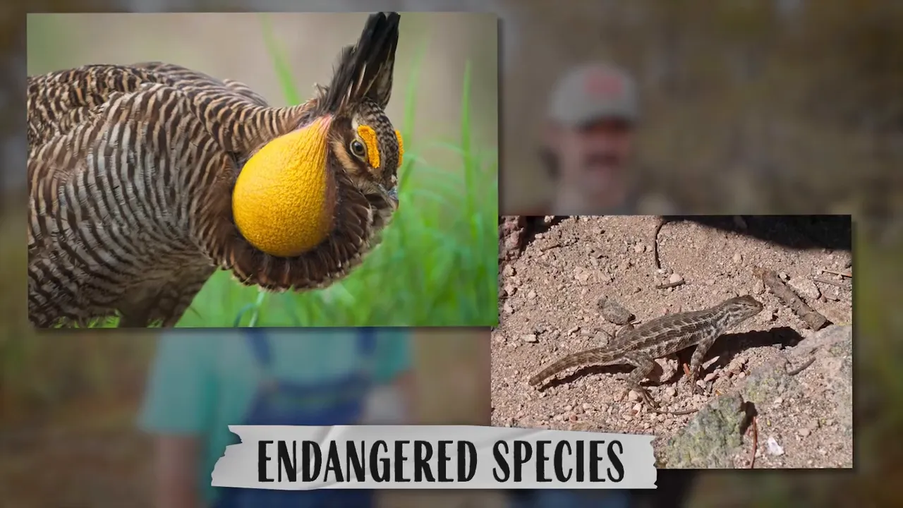 Two men standing in a grassy field near trees, illustrating an environmental check on land