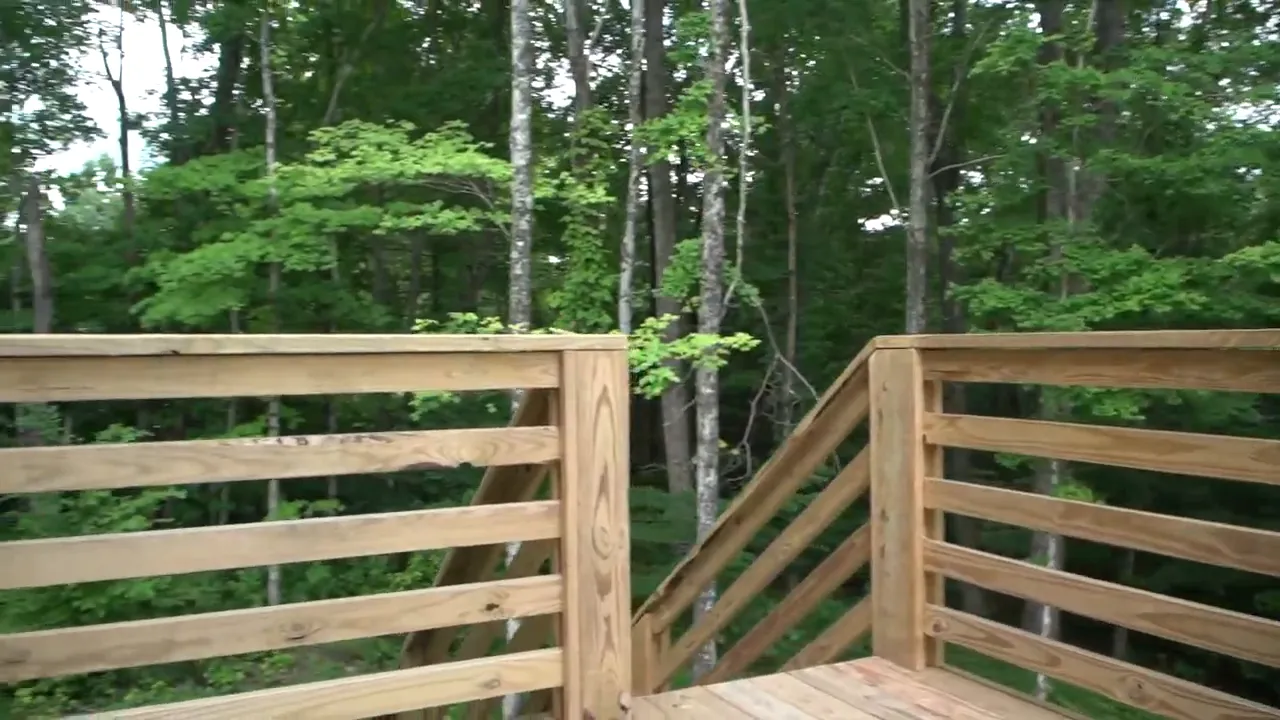 Wood deck railing overlooking dense trees behind the house