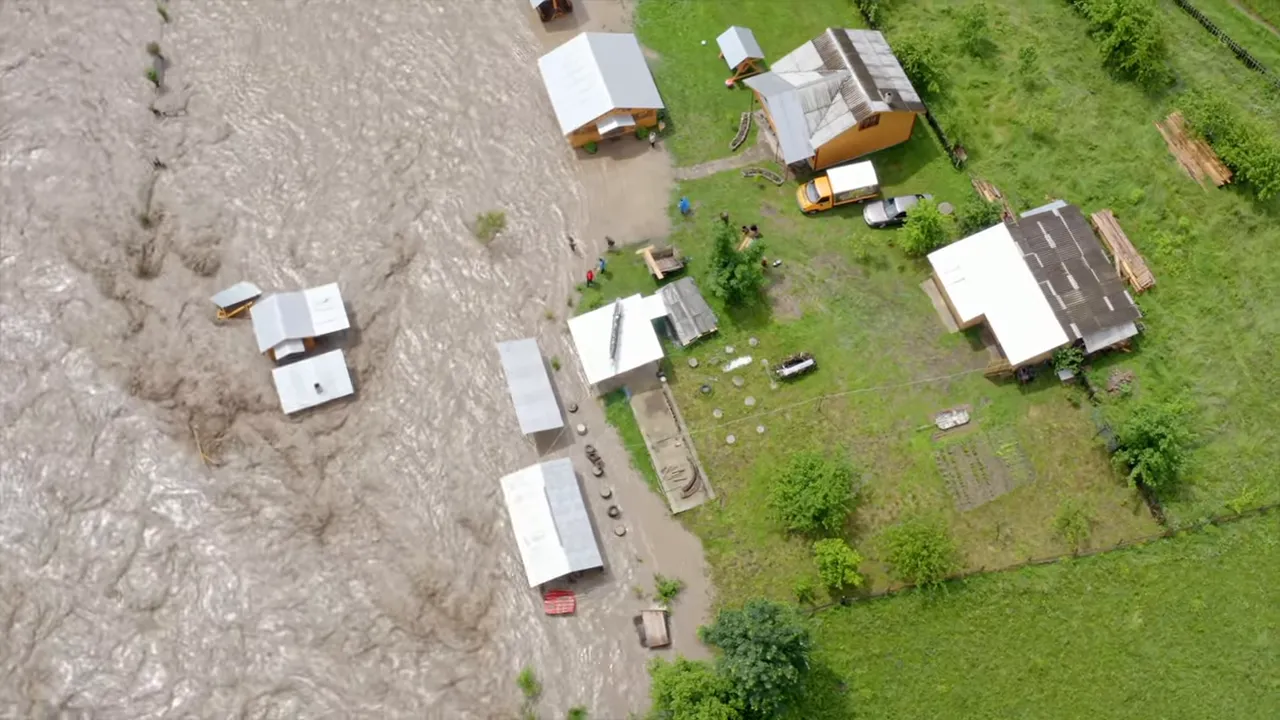 Liv South Florida neon title card on black background