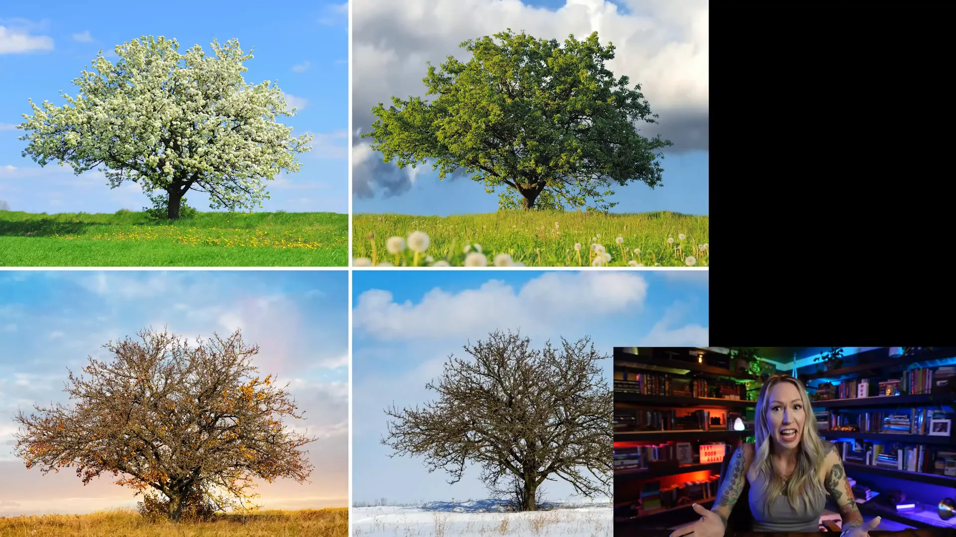 Missouri fall foliage and seasonal changes
