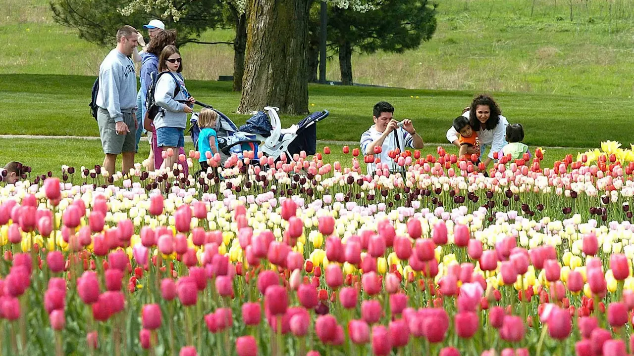 Top 10 Reasons to Consider Moving to Maryland