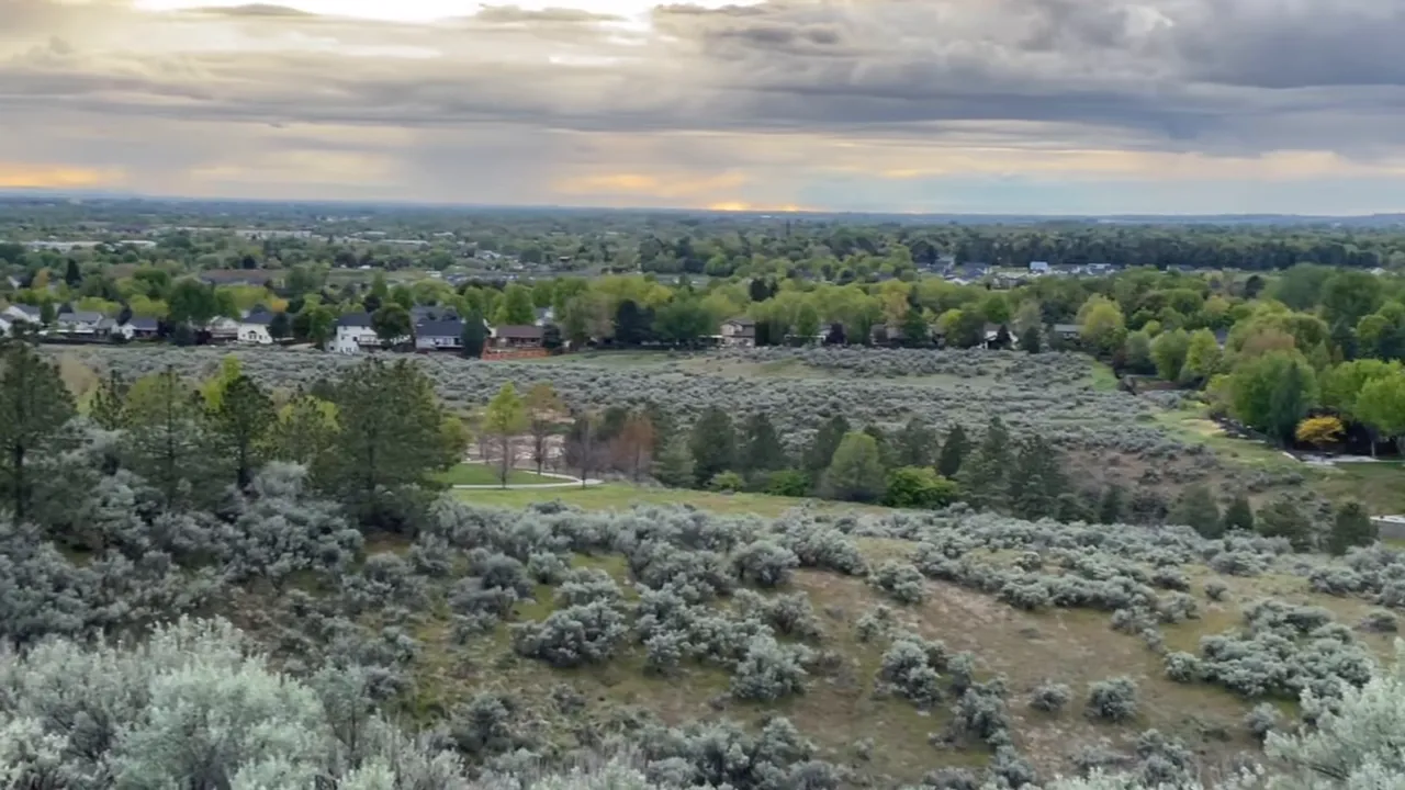 Tumbleweeds and seasonal vegetation stirring allergies