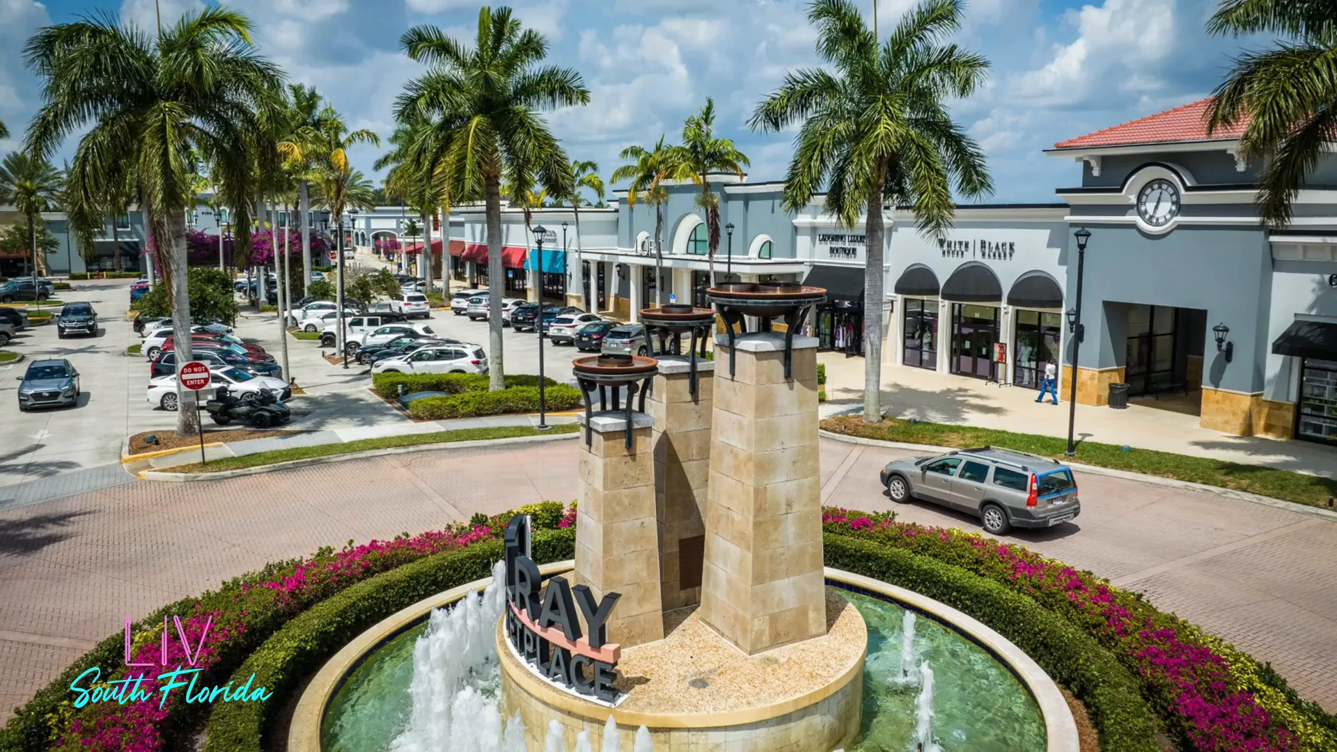 Shopping center and grocery options near Lotus Palm