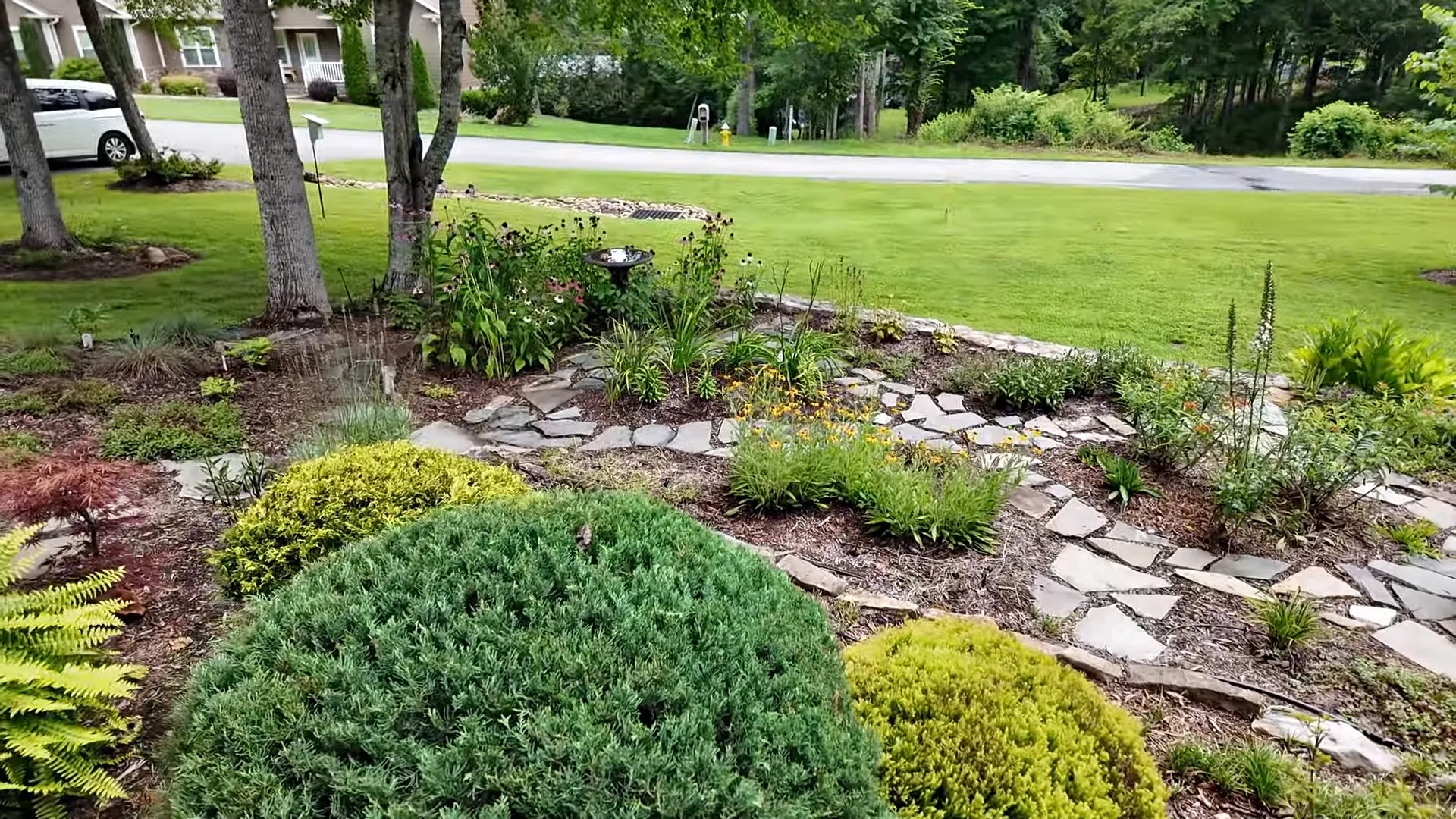 Backyard view with landscaping and fencing