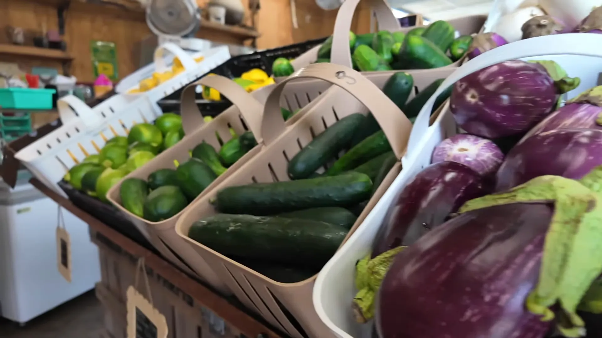 Local farmer's market with fresh produce