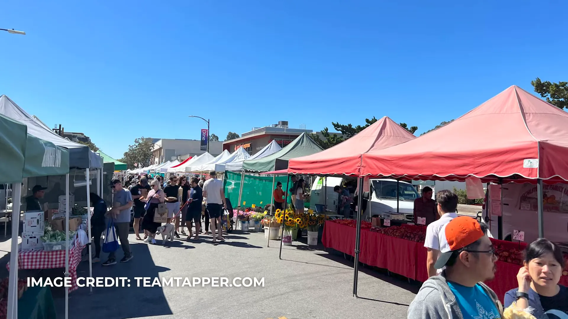 Living in San Mateo County