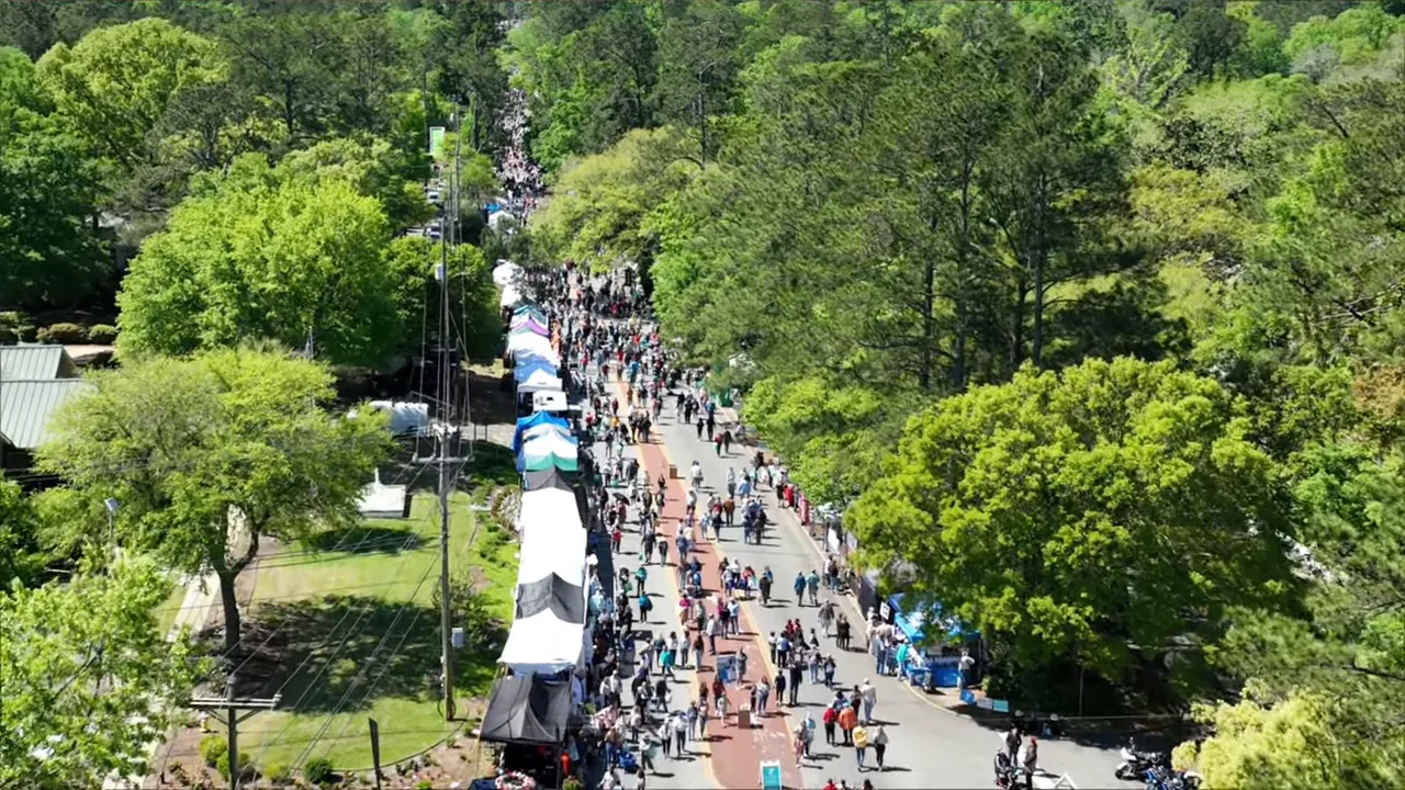 Festivals and Community in Summerville
