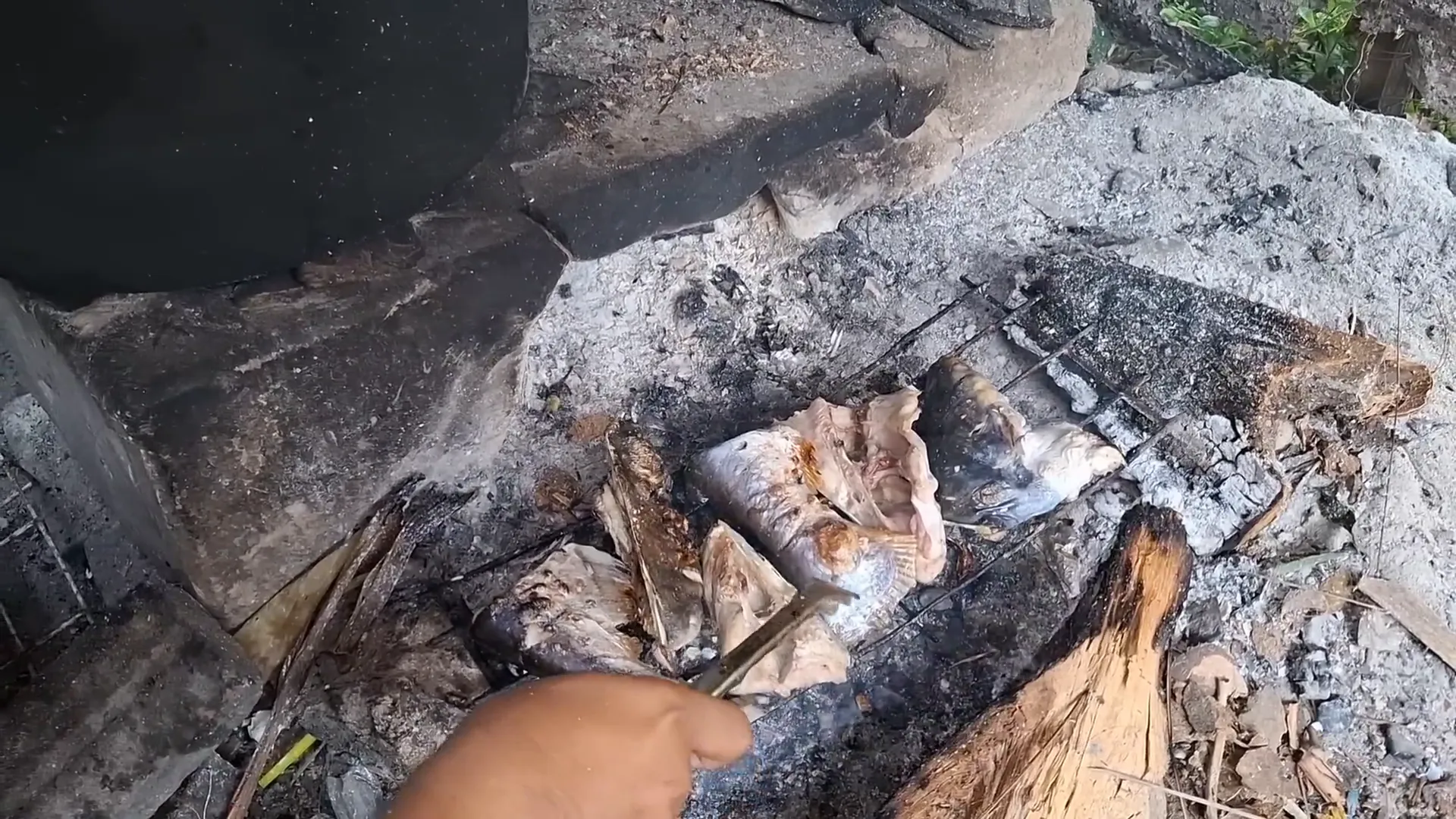 Proses pengasapan ikan jendil menggunakan kayu