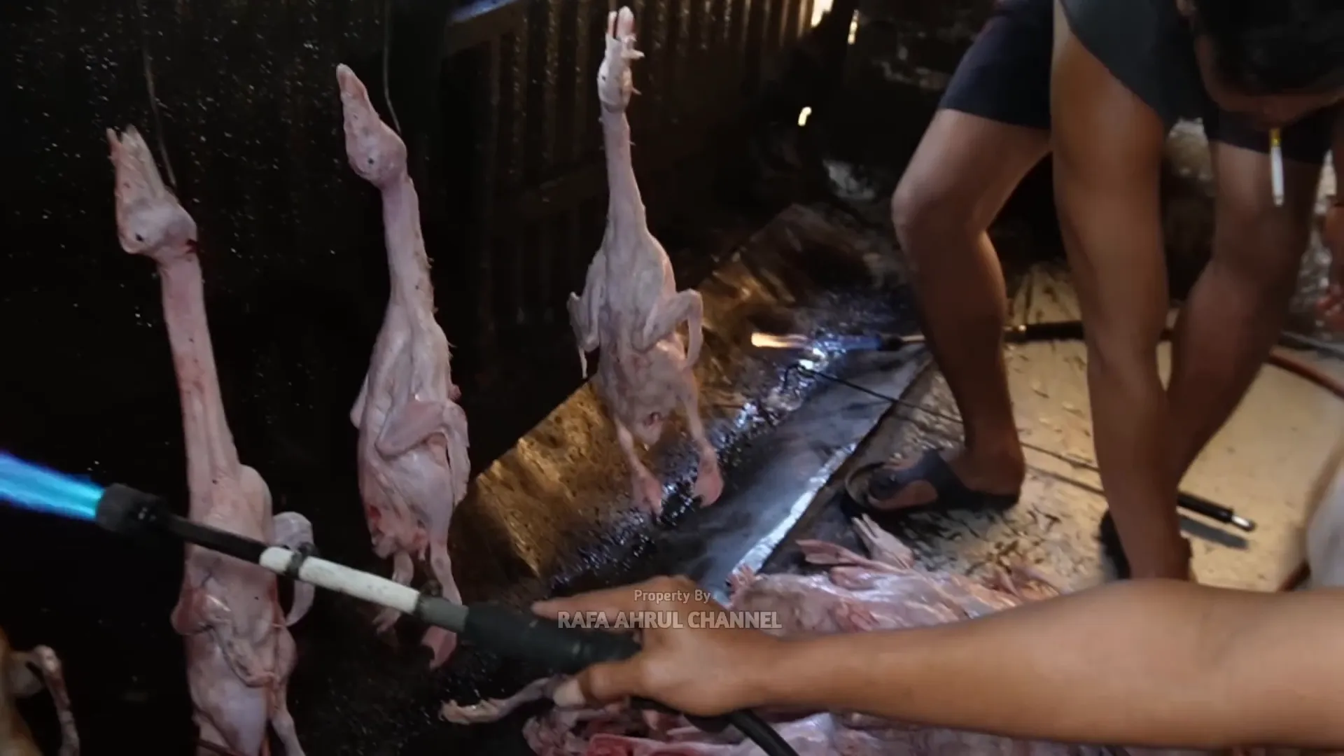 Proses pembakaran lemak bebek di dapur belakang warung
