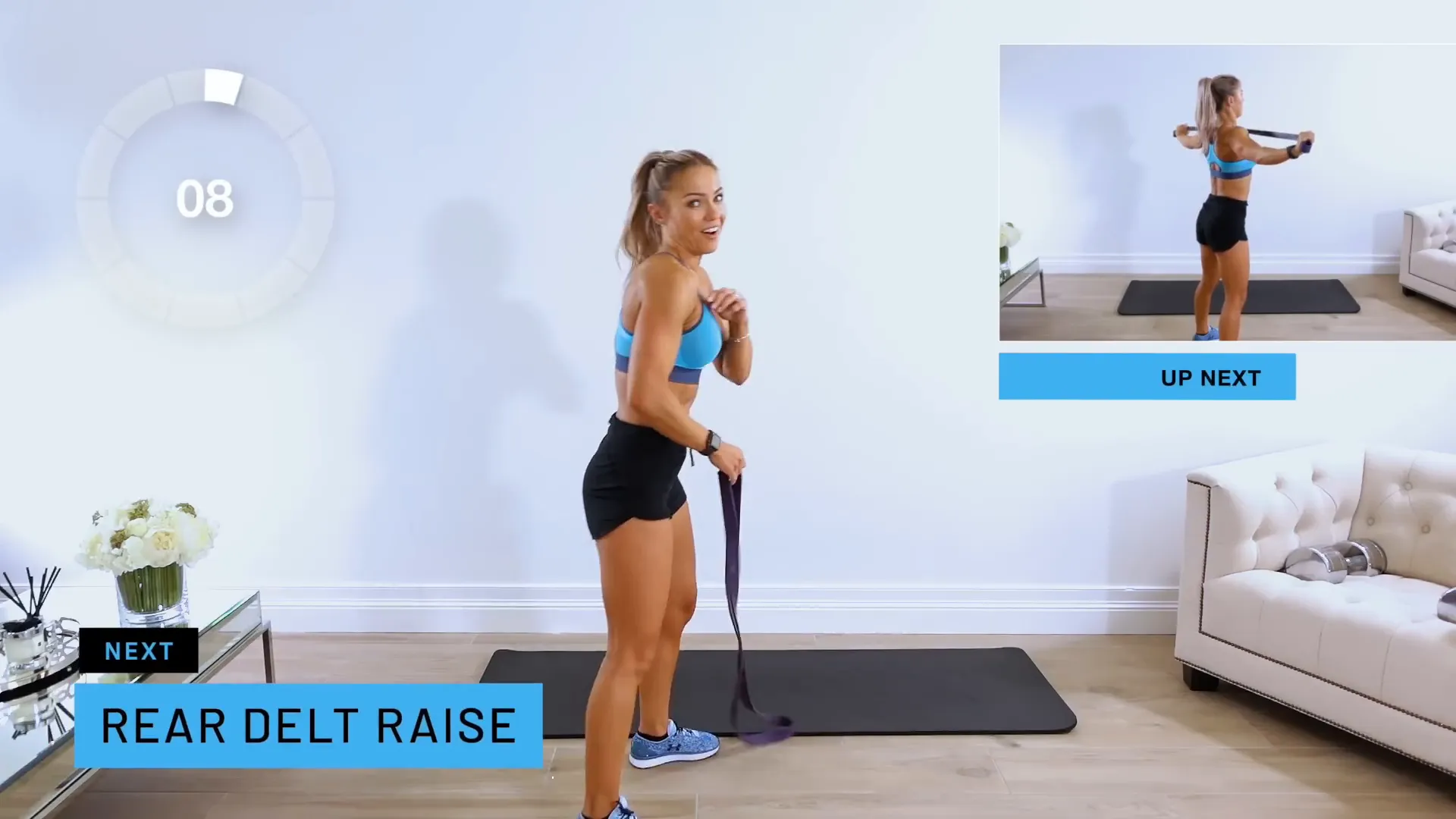Rear Delt Raise Exercise