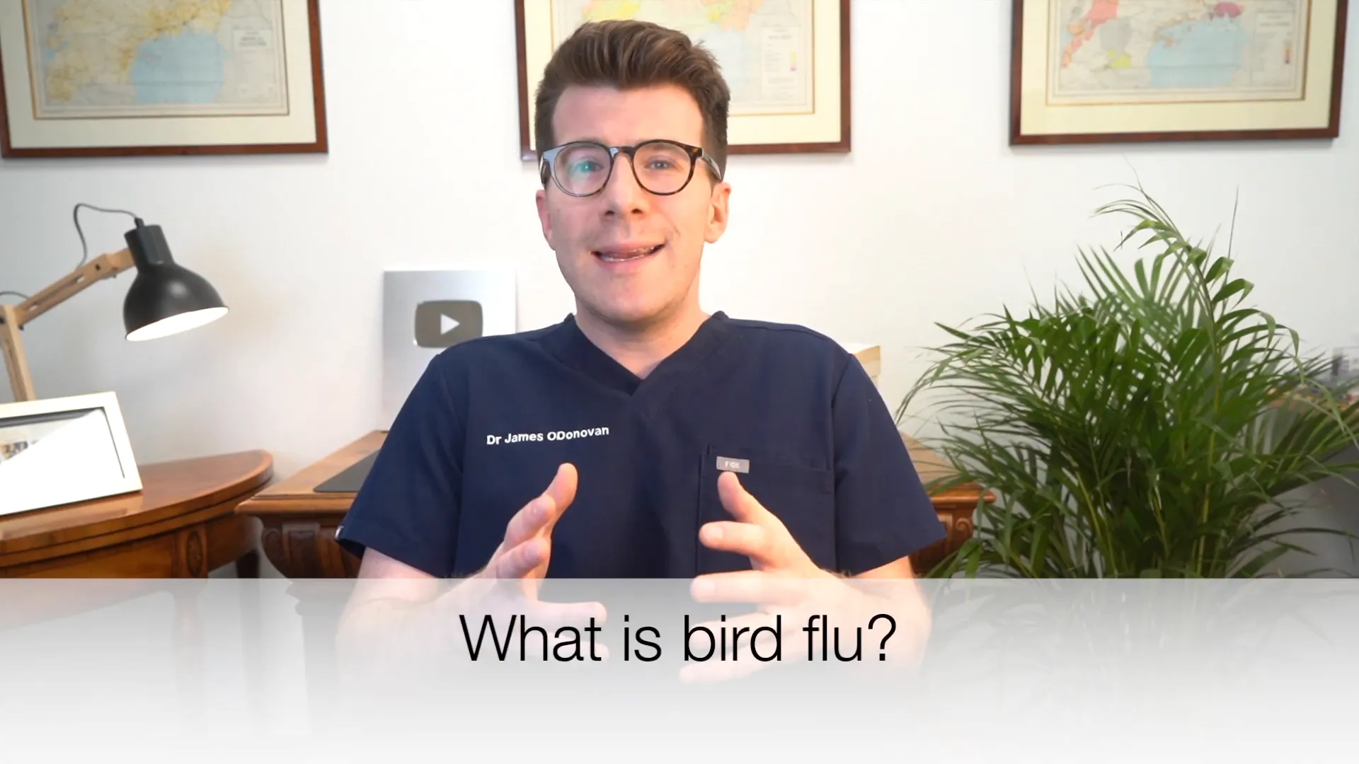 Introduction to bird flu