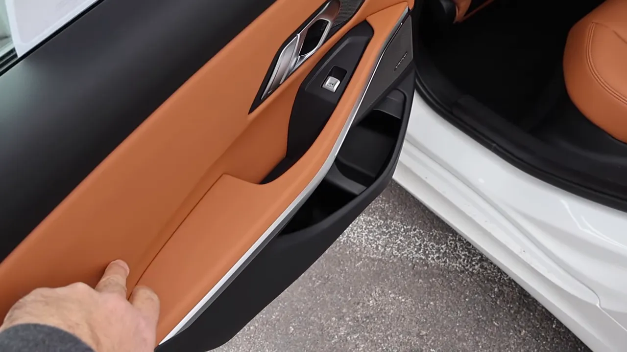 Close-up of BMW 330i two-tone brown and black door panel showing armrest, handle and speaker