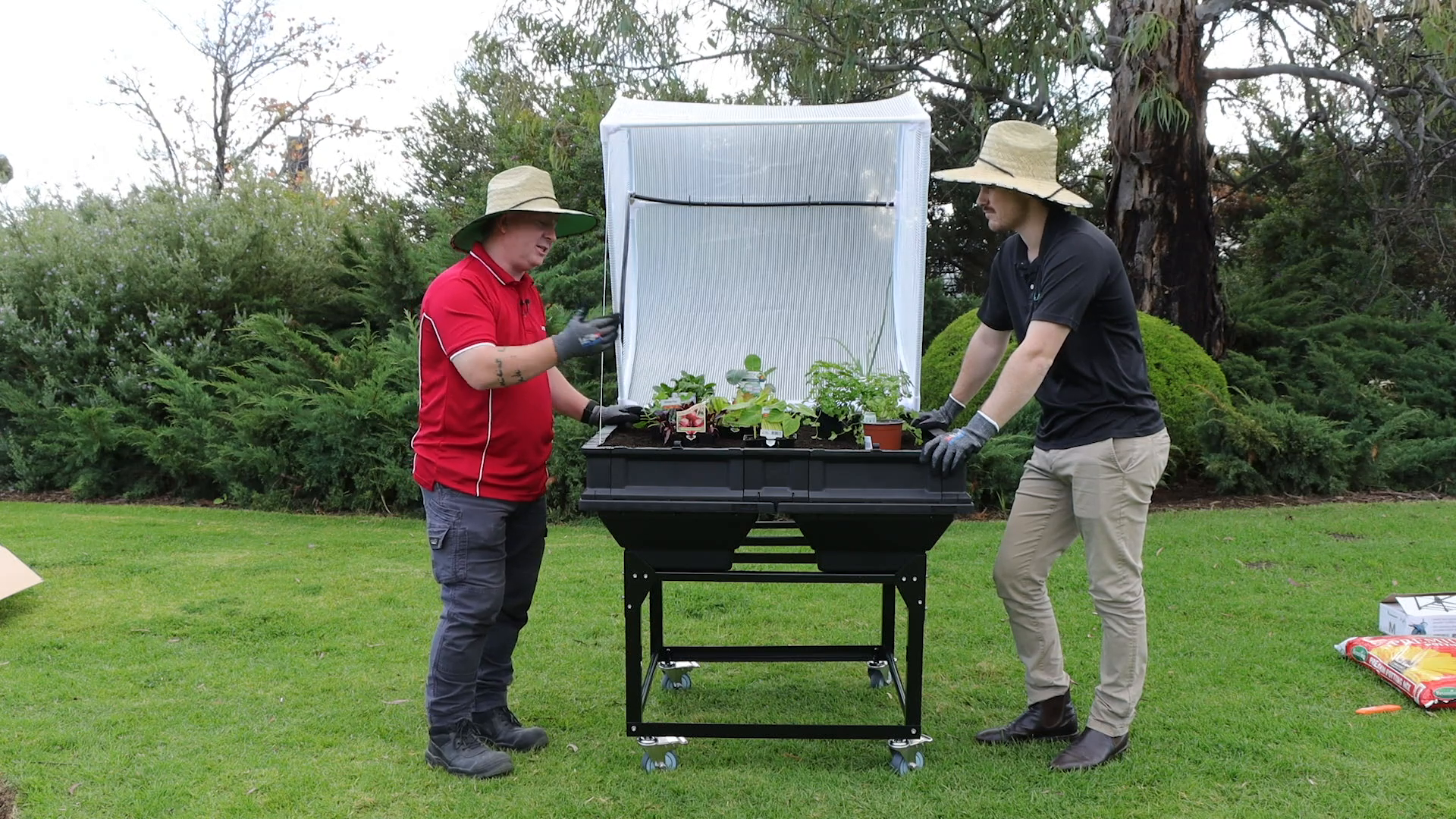 Selecting vegetables for planting in the Vegepod