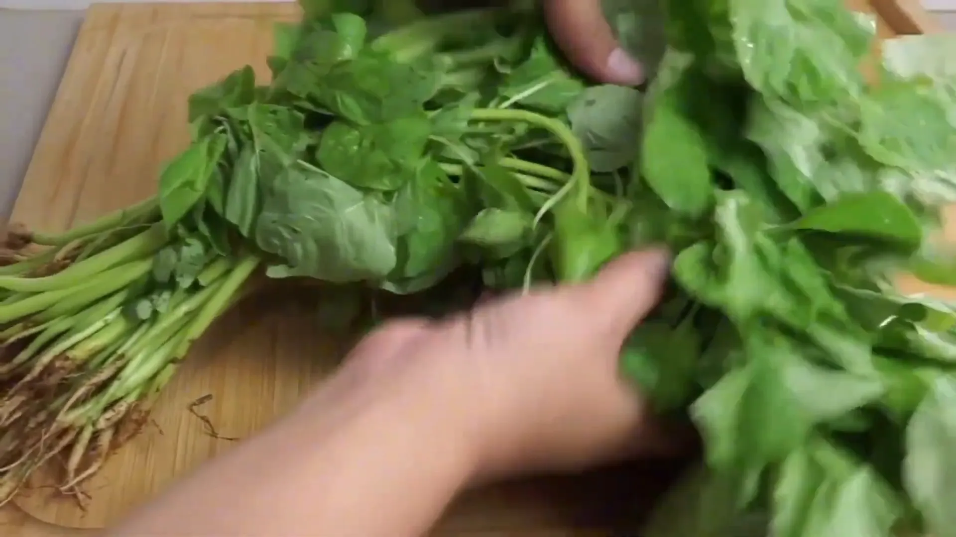 sayur bening bayam dengan labu dan jagung