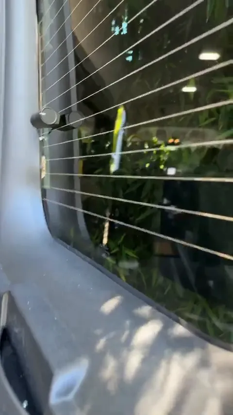 Rear camera mounted on Ram ProMaster