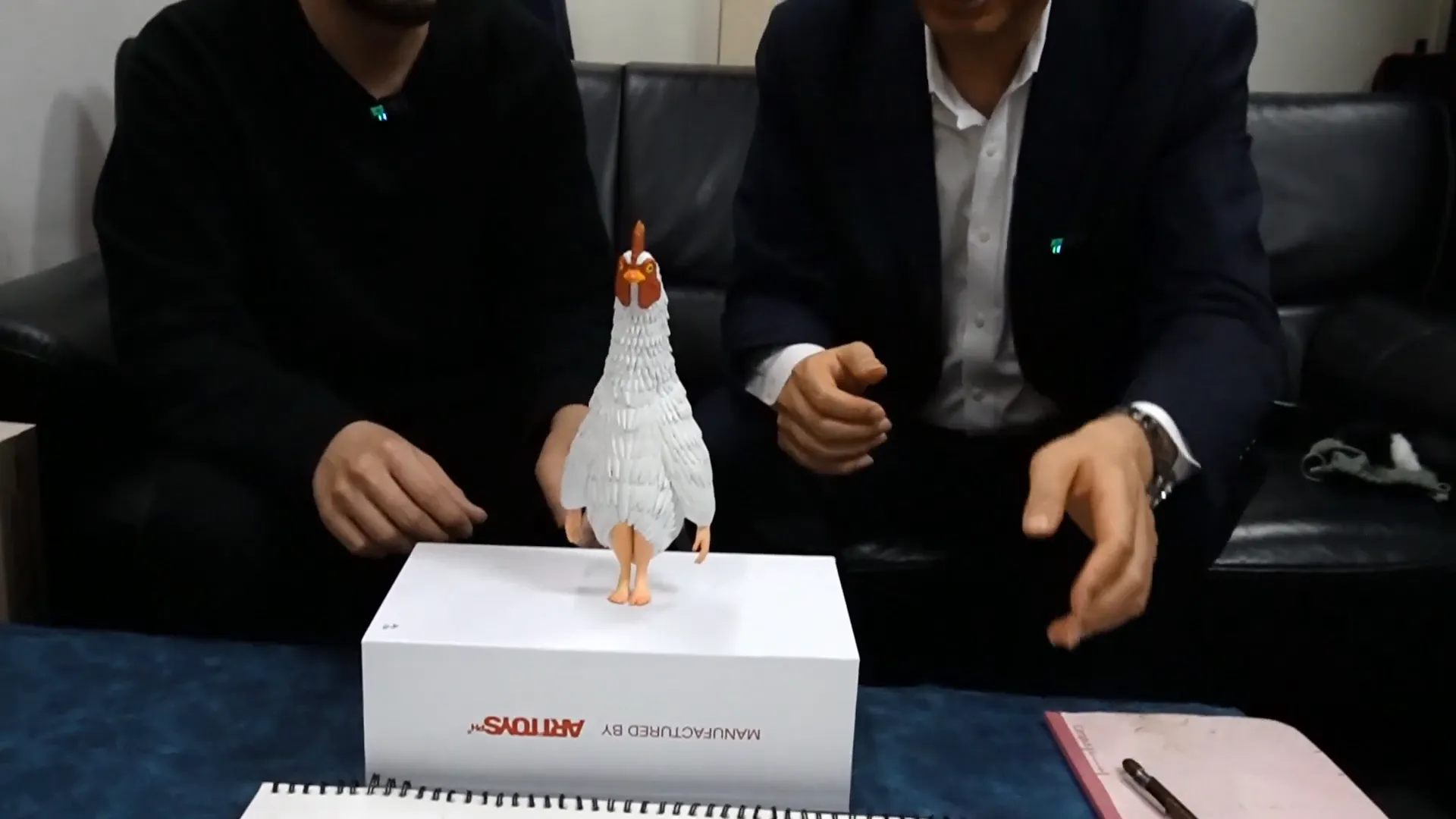 チキンサピエンスの自立する様子