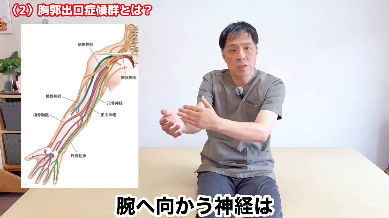 腕へ向かう神経の経路を示した図と説明する手元