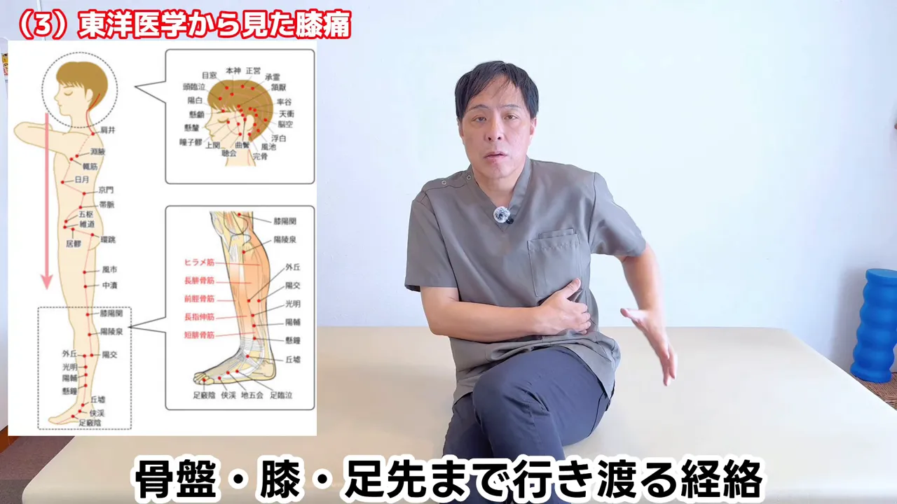 頭の側面から足先へ流れる胆経の図と脚を指す様子