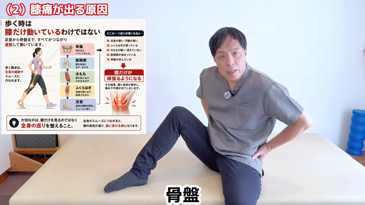 足首から骨盤までを指して歩行の連動を説明する様子