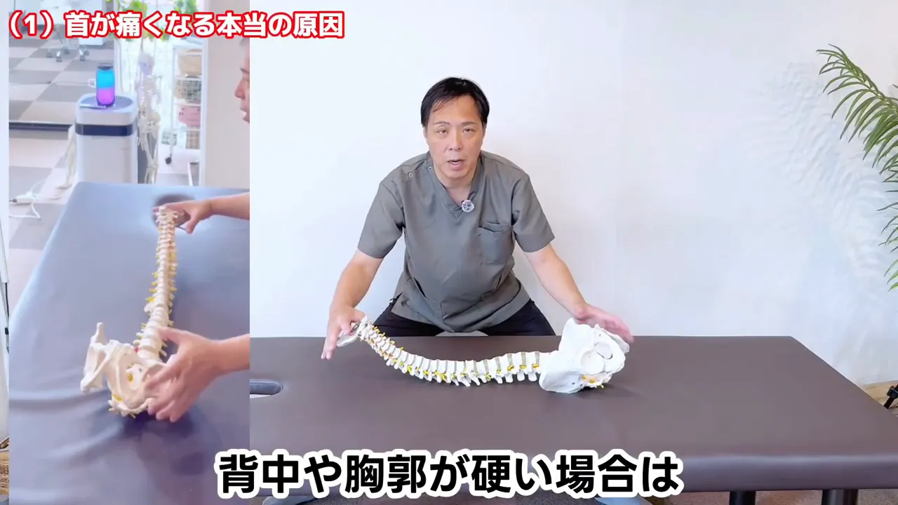 背骨と骨盤の模型を使って寝返り時の動きを説明している様子